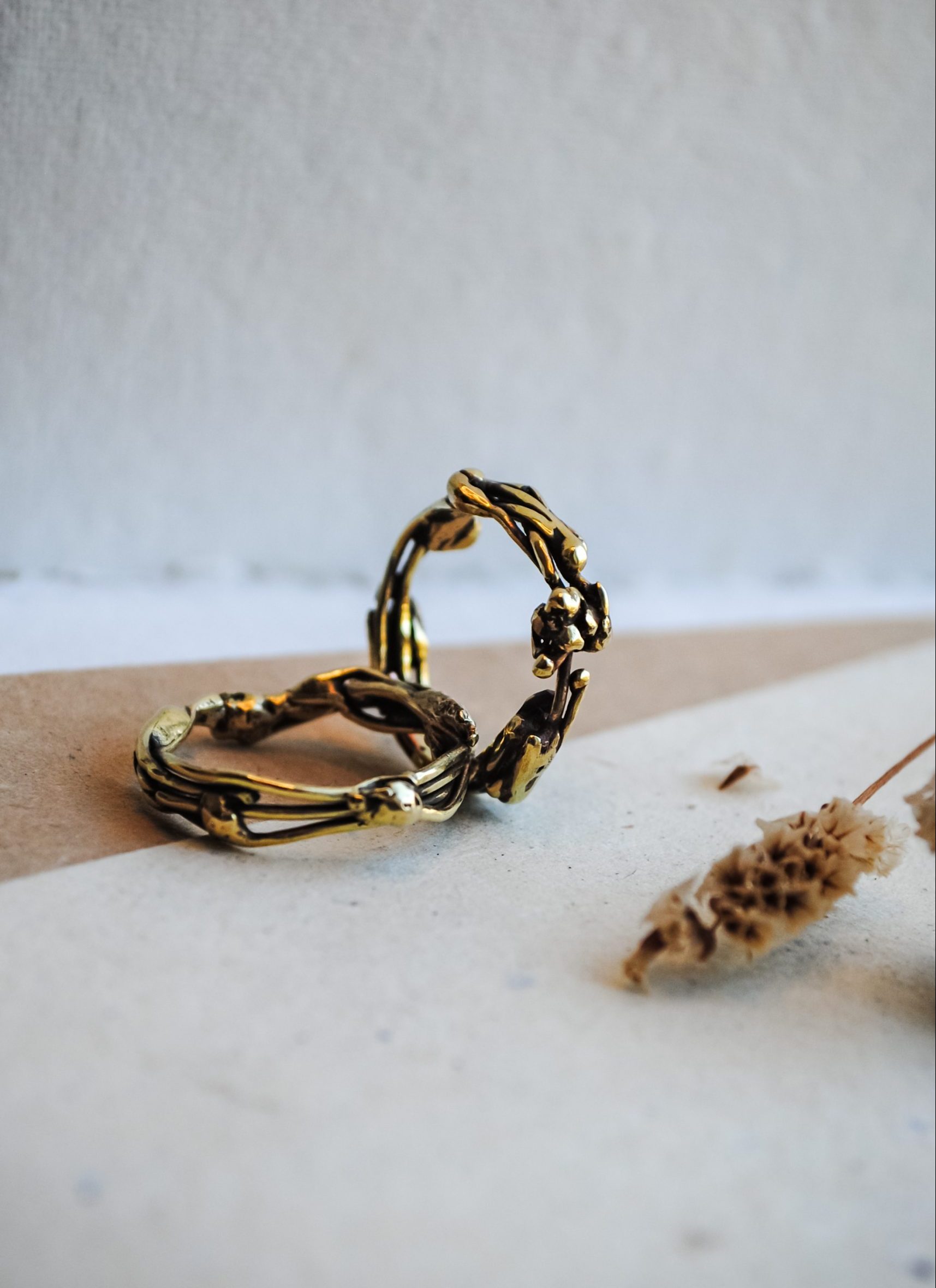 Eco-Phoenix ring