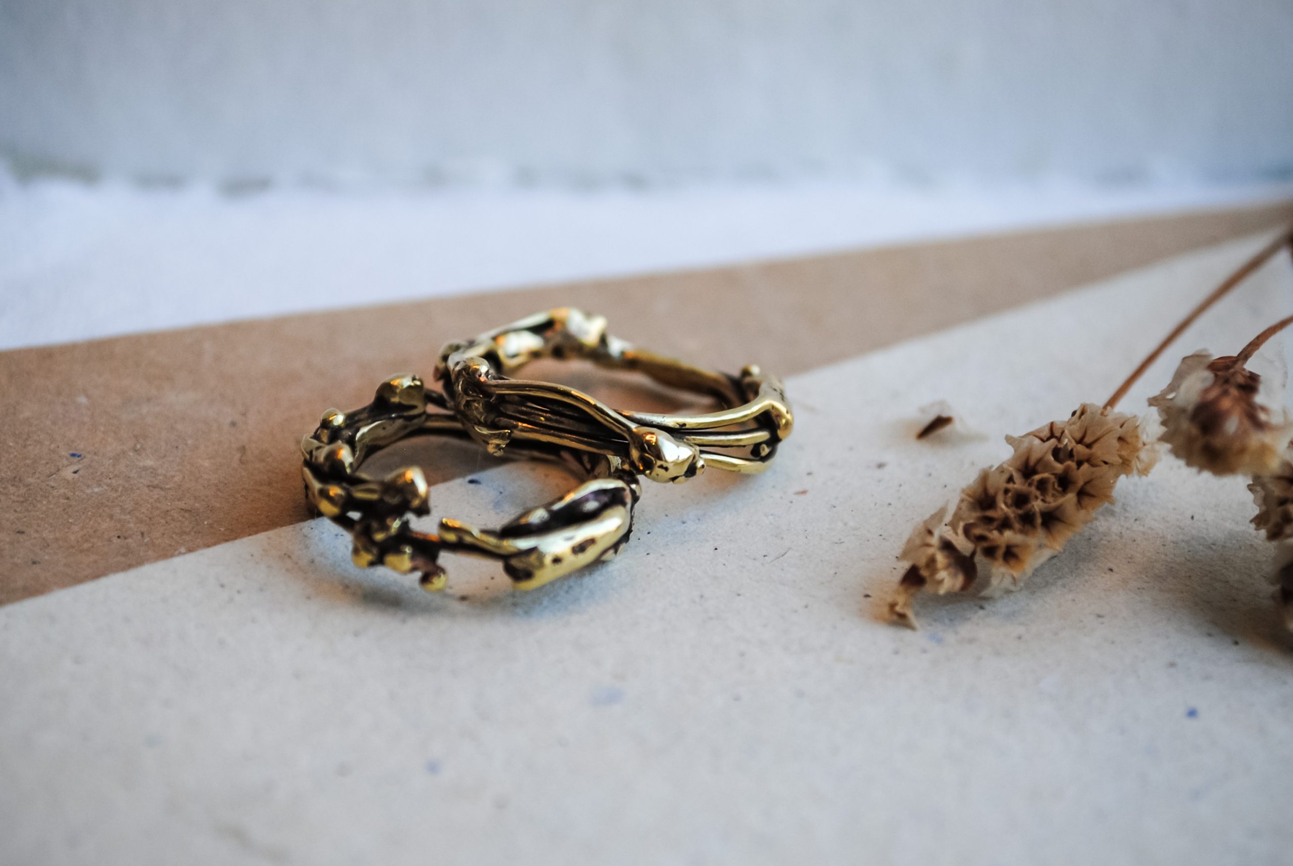 Eco-Phoenix ring - immagine 2