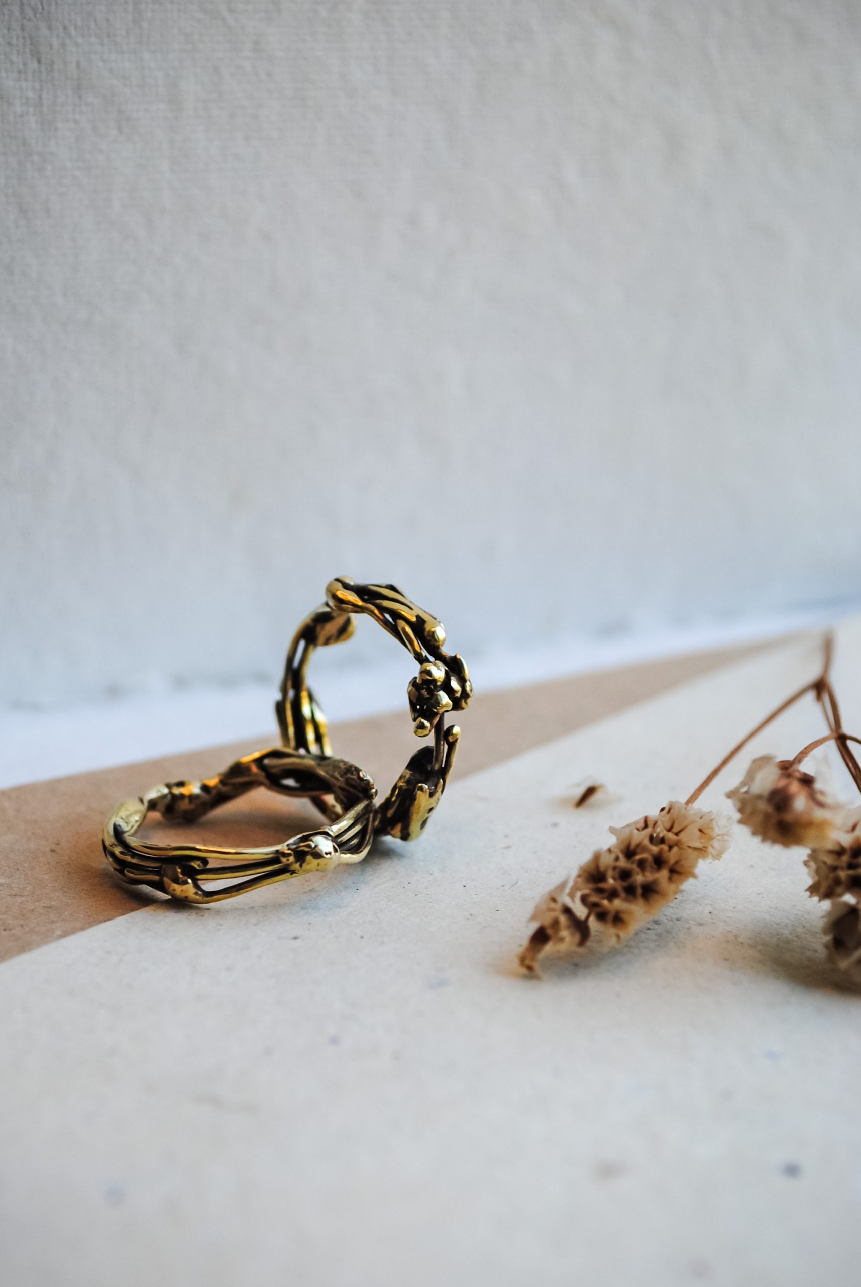 Eco-Phoenix ring - immagine 4